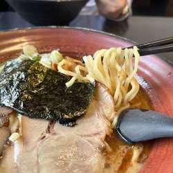 とんこつお魚風味らぁめん830円　太麺