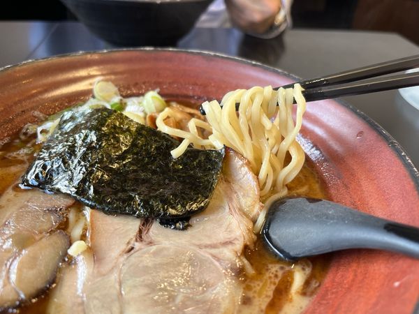 「とんこつお魚風味らぁめん830円　太麺」@らぁめんさなだ 市原白金店の写真