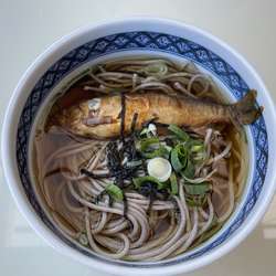 つぼどんの画像