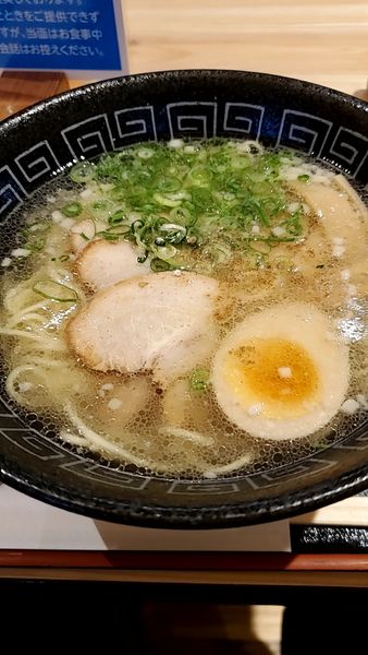「あっさり塩ラーメン　７７０円」@山小屋食堂の写真
