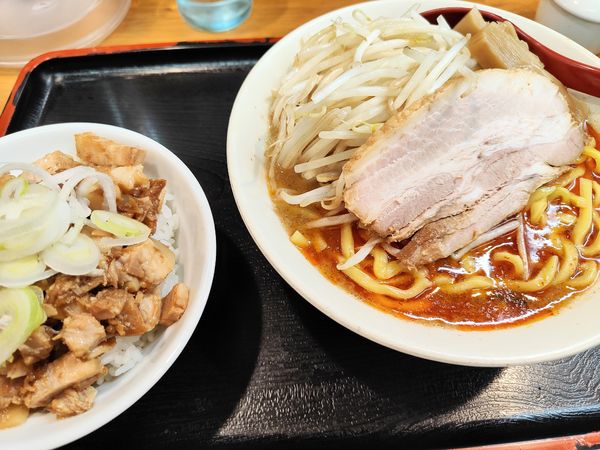 「辛味噌ラーメン＋豚ごはん（醤油）」@味噌麺処 花道庵の写真