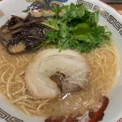 豚骨ラーメン（カタメ）500円+パクチー100円