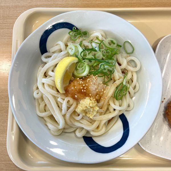 「生醤油うどん（冷）」@つるまる 千駄ヶ谷店の写真