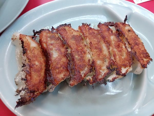 「餃子340円(LINE店舗登録クーポン無料)ラーメン690円」@ラーメン山岡家 音羽蒲郡店の写真