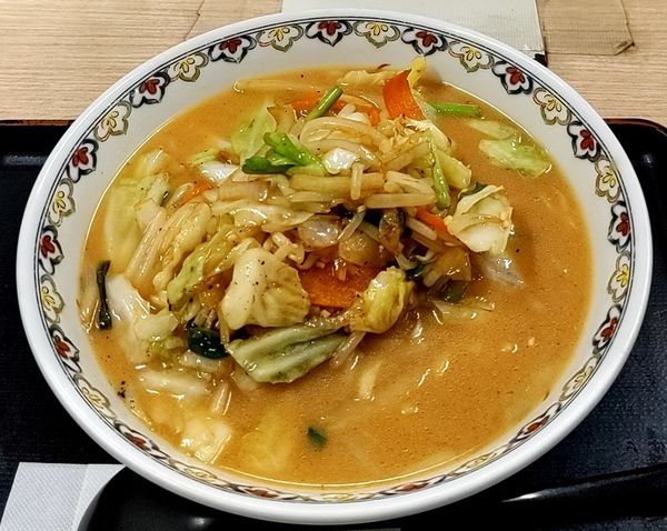 「野菜たっぷり味噌ラーメン」@関本パーキングエリア(上り)スナックコーナーの写真
