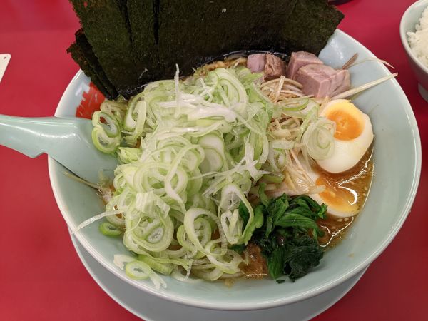 「特製味噌ネギラーメン 味玉 海苔増し ネギ増し 青ネギ(別皿」@山岡家 狭山店の写真