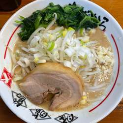 小ラーメン麺100ニンニクネギレン草