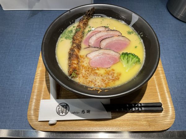 「鶏白湯そば」@麺巧 潮の写真