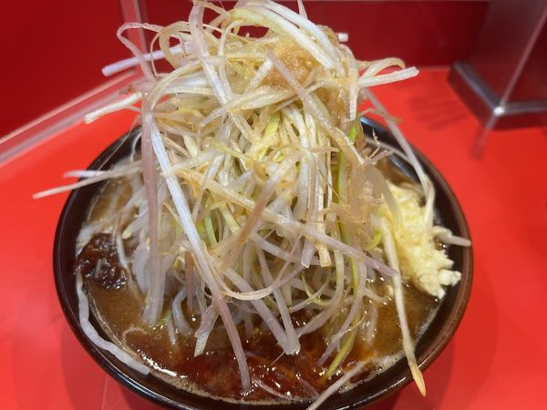 「みそらーめんミニ＋味ネギ」@麺屋 桐龍の写真