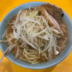 小ラーメン 野菜ちょい増し