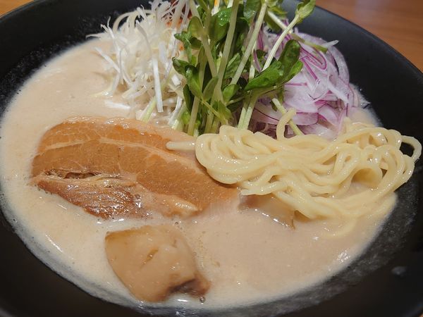 「裏虎らー麺（中太麺）」@大衆麺食堂 きんとら JR姫路駅東口本店の写真