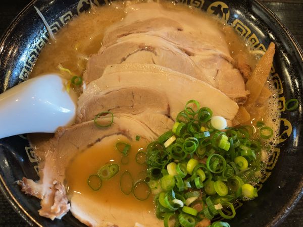 「広島ラーメン・麺カタメ960円」@本場広島お好み焼き かっちゃんの写真