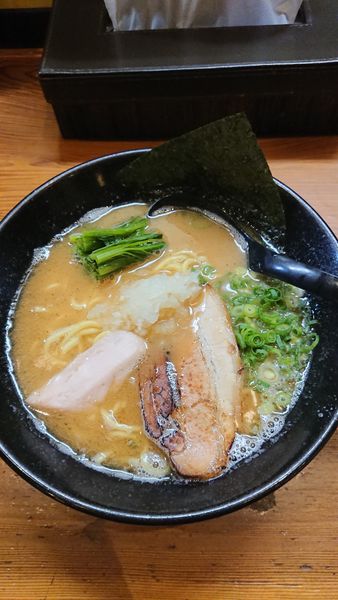 「鶏白湯らーめん」@三代目麺処 「まるは」極 船橋店の写真