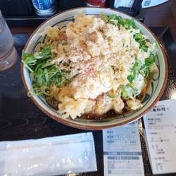 期間限定：タル鶏南蛮ぶっかけ大870円(アプリ割で770円)