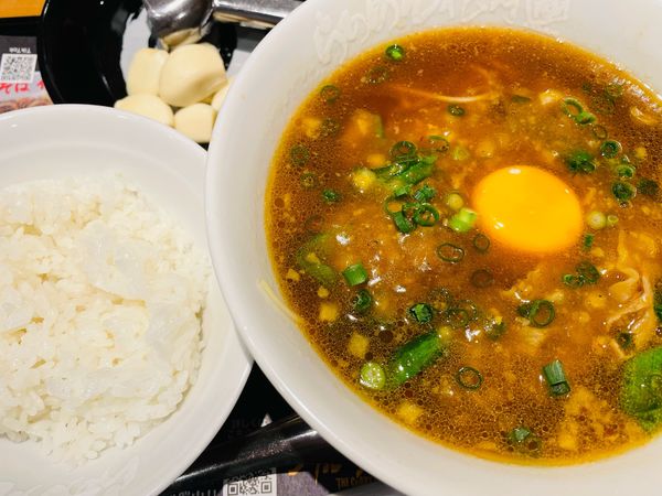 「ザ・カレーラーメン嵐 890円」@らあめん花月嵐 北砂丸八通り店の写真