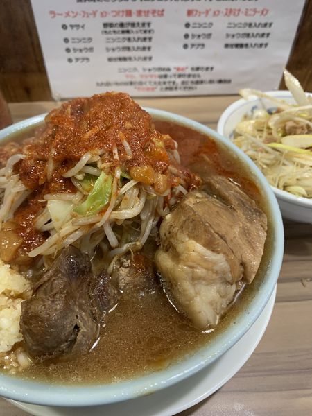 「フュージョン　トッピングネギ」@シン・ヒノブタの写真