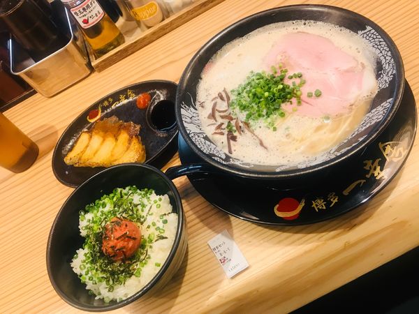 「博多セット(餃子5個・明太子丼)」@博多一幸舎 総本店の写真