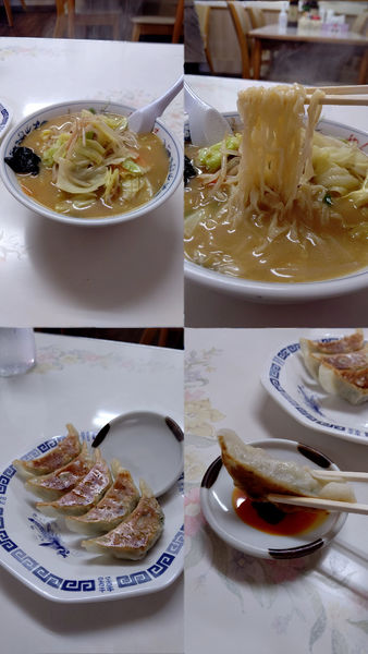 「『味噌らーめん+餃子(¥900+450)』」@矢車食堂の写真