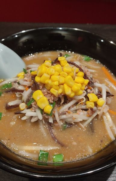 「味噌ラーメン」@ラーメン大至の写真