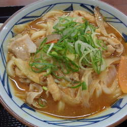 俺たちの豚汁うどん（並）790円