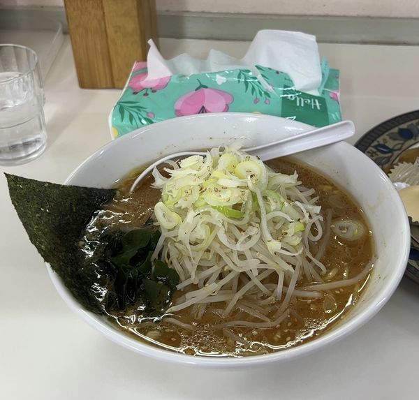 「味噌ラーメン」@ラーメンHOT めん花の写真