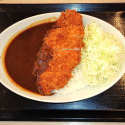 かつや 瑞江店の画像