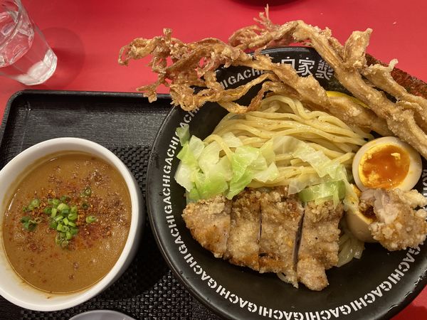 「TERIYAKI DX 1150」@Jikasei Mensho 渋谷パルコ店の写真