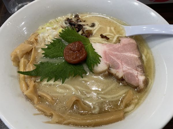 「濃厚鶏白湯麺」@超濃厚鶏白湯ラーメン専門店 自家製麺 鶏ふじの写真