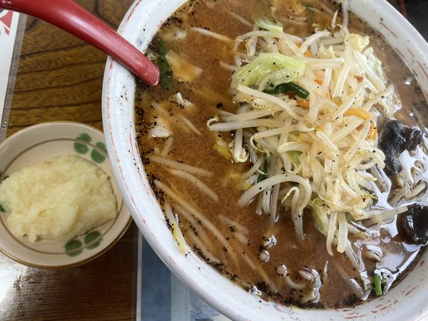 「からしタンメン900円+ニンニク50円」@白河手打ラーメン かづ枝の写真