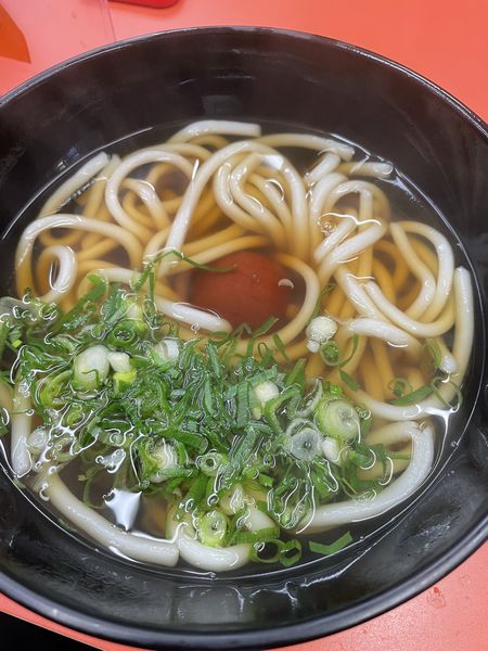 「うめうどん」@ゑびすうどんの写真