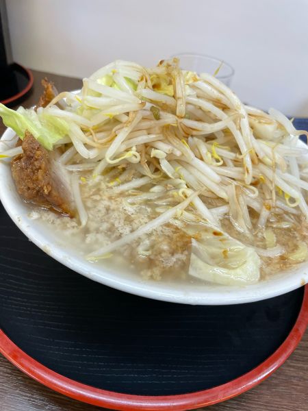 「元ラーメン 並」@麺屋 元の写真