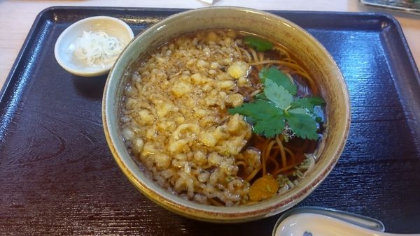 「たぬきそば」@舟蕎山の写真