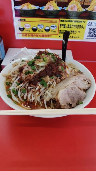 「すごい味噌ラーメン(中)」@立川マシマシ 上尾店の写真