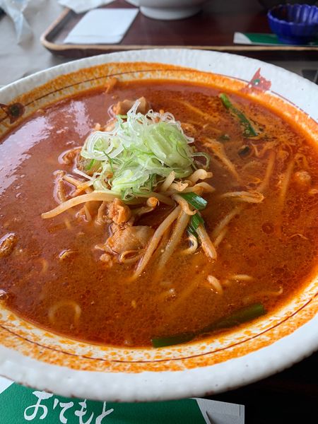 「ホルモン南蛮ラーメン」@レストラン岩手山の写真