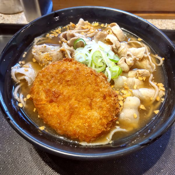 「バクコロ(¥760)」@名代 富士そば 京急蒲田店の写真