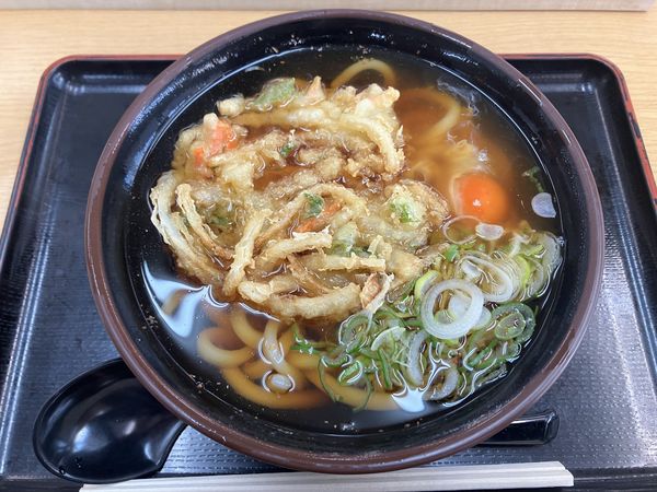 「天玉うどん」@YASMOCCA 大谷PA下りの写真