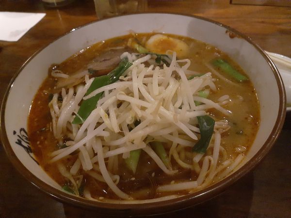 「麻辣味噌ラーメン、大盛」@横濱家 こどもの国店の写真
