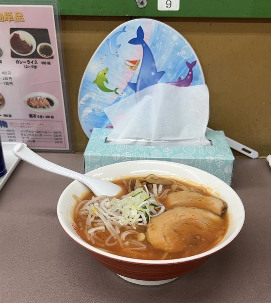 「辛々ラーメン」@くるまやラーメン おゆみ店の写真