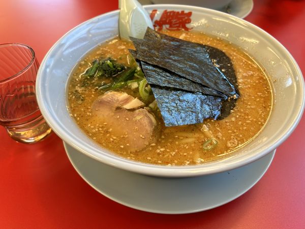 「濃厚味噌ラーメン」@ラーメン山岡家 栃木店の写真