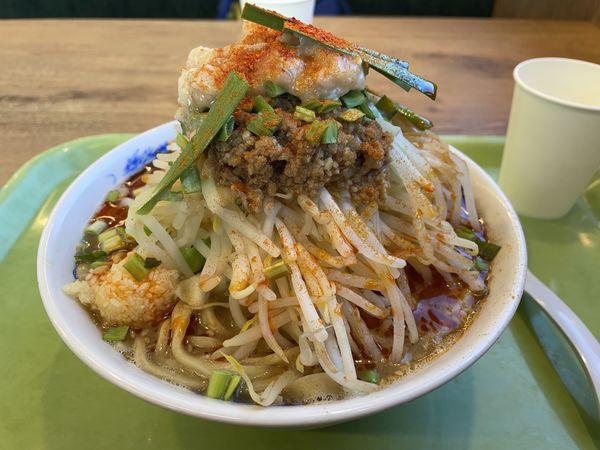 「スタミナラーメン」@ジャンクガレッジ カインズ羽生店の写真