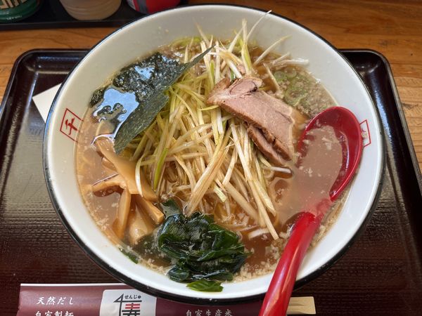 「ねぎらーめん　麺硬め」@千寿の写真