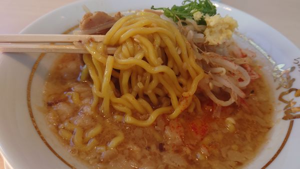 「味噌ラーメン」@らぁ麺 はやし田 入間店の写真