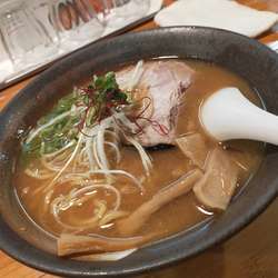 らーめん 合わせ 豚骨×鶏(ブレンド)