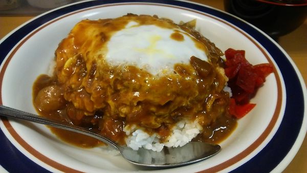 「カレーかつ丼 620円」@名代 富士そば 秋葉原店の写真