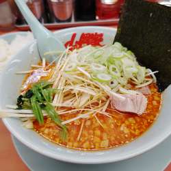 辛味噌ネギラーメン激辛930円半ライス130円