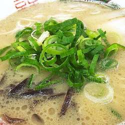 久留米とんこつ