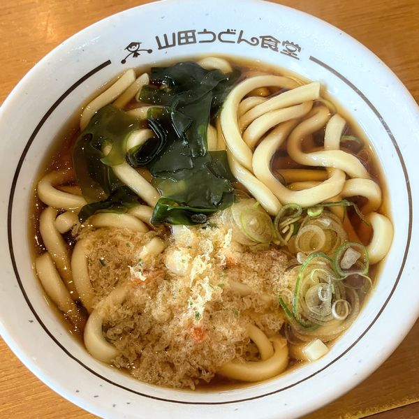「たぬきうどん(アプリクーポン無料)他」@山田うどん 八千代島田台店の写真