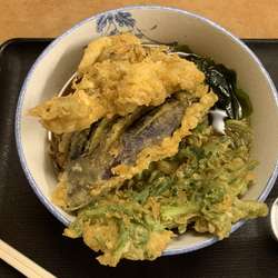 野菜天盛り蕎麦(750円)