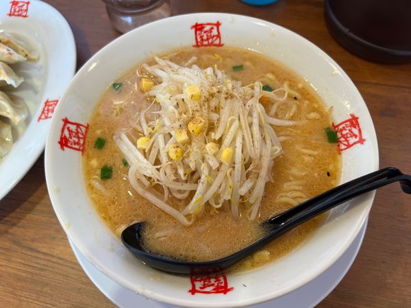 「みそ」@おおぎやラーメン 伊那店の写真