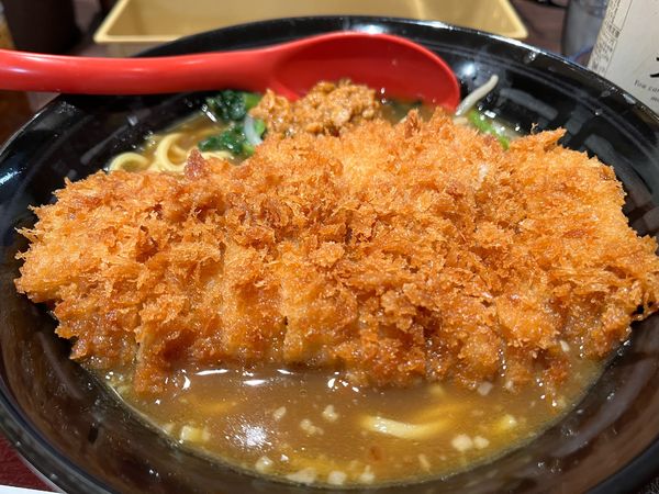 「手仕込みとんかつカレーラーメン」@カレーハウスCoCo壱番屋 一宮千秋店の写真